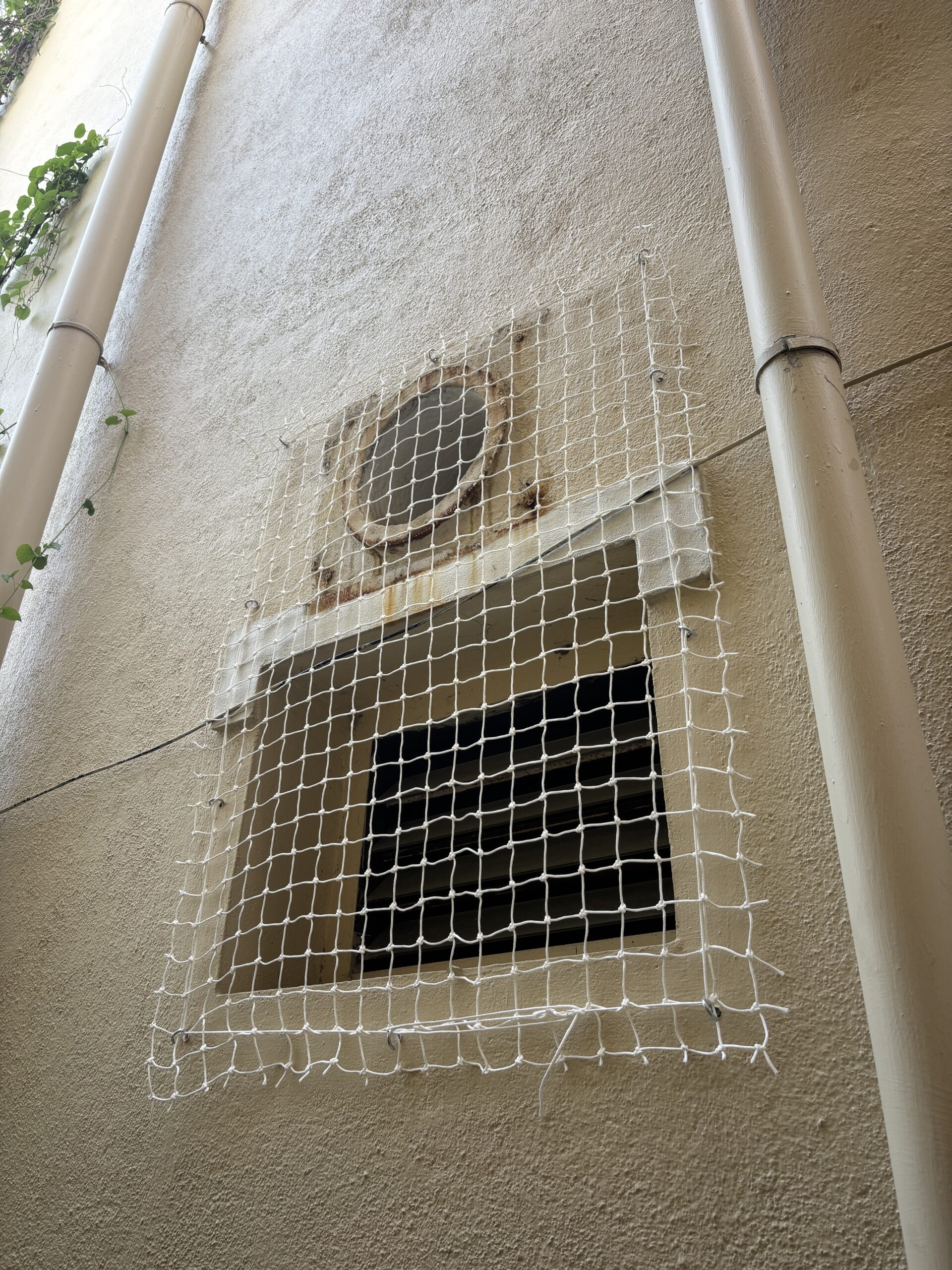Bird Protection Nets Chennai